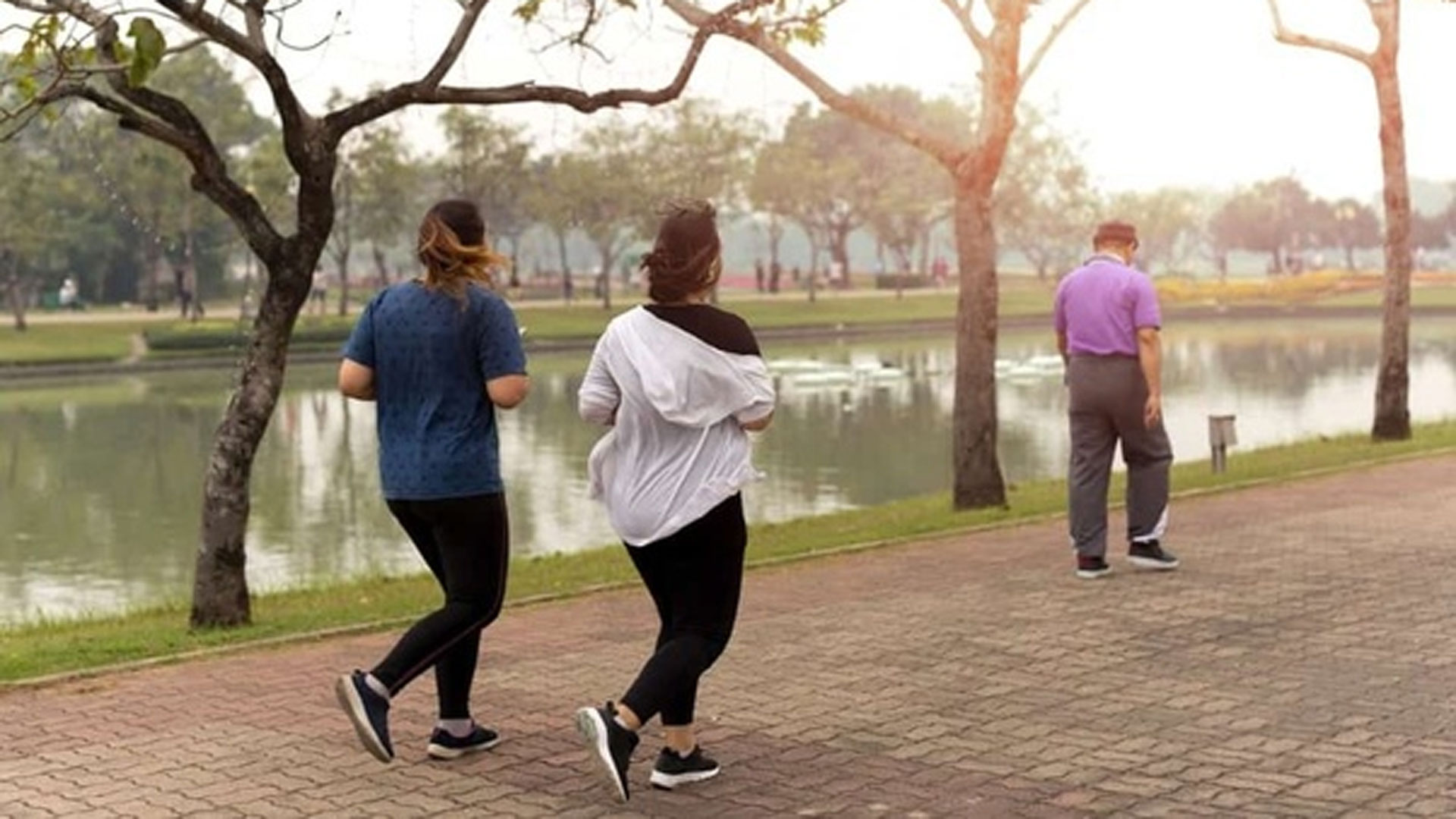 Let's Walk Foundation